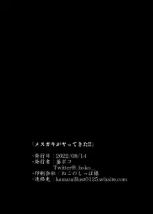 メス〇キがヤってきた！！, 日本語