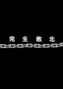 完全敗北愛玩戦士総集編, 日本語