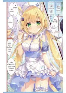 Nekomimi Tenshi na Choco Mint-san | 고양이귀 천사 초코민트양, 한국어