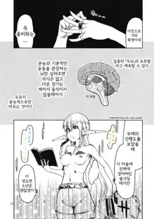 Dosukebe Elf no Ishukan Nikki 6 | 호색한 엘프의 이종간일기 6, 한국어