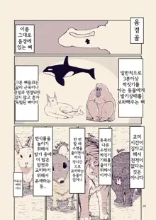 Dosukebe Elf no Ishukan Nikki 8 | 호색한 엘프의 이종간일기 8, 한국어