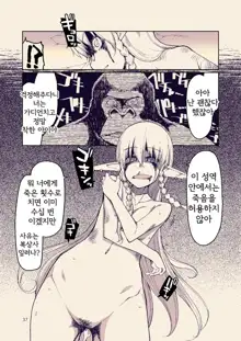 Dosukebe Elf no Ishukan Nikki 8 | 호색한 엘프의 이종간일기 8, 한국어