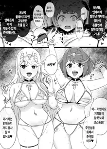 Homura & Hikari Sennou NTR Manga 14P (Xenoblade 2) | 호무라 & 히카리 세뇌 NTR 만화, 한국어