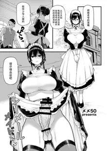 Shemale Maid-san, 中文