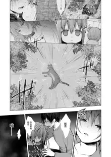 Nyancology 12 -Nekoda-san to Himitsu no Chikai- Bangaihen Douji Shuuroku "Succubus Nyan Nyan Niya-chan", 中文