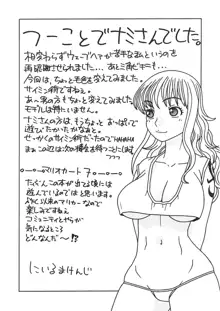 ナミさんとセックス, 日本語