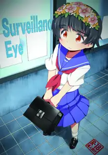 [田中家の鴨 (たなかあひる) Surveillance Eye (とある科学の超電磁砲) [DL版], 日本語