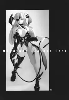 ゆきやなぎの本6 MORRIGAN LEATHER TYPE, 日本語