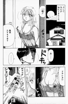 晴れときどきエッチ, 日本語