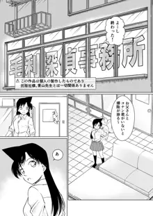 何かがおかしい夜, 日本語