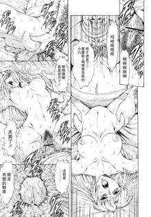 Ginryuu no Reimei Vol.3, 中文