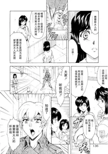 Ginryuu no Reimei Vol.3, 中文