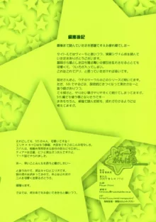 リリカルマジカル もっとヴィータがんばる, 日本語