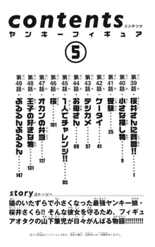 ヤンキーフィギュア 5, 日本語