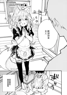 Kemomimi Maid to Ichaicha Suru Hon 3 Satsume, 中文