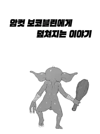 Mesu Bokoblin ni Osowareru Hanashi | 암컷 보코블린에게 덮쳐지는 이야기, 한국어