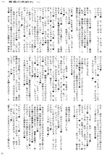 黄昏の気紛れ, 日本語