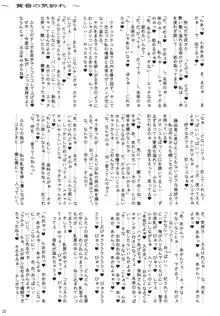 黄昏の気紛れ, 日本語