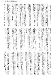 黄昏の気紛れ, 日本語