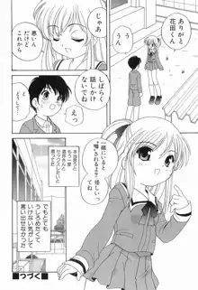 えっちなウワサ, 日本語