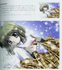 Kanon Fanbook, 日本語