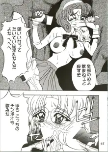 魔女っ娘騎士, 日本語