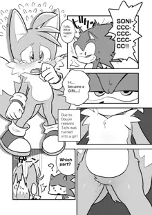 Tails and Sonic's special Fuss, English