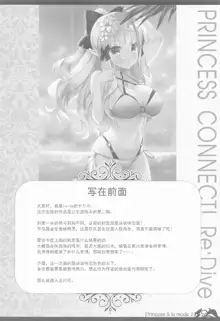 Princess a la mode 2, 中文