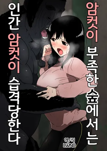 Mesu ga Fusoku Shita Mori de wa Ningen no Mesu ga Osowareru  |  암컷이 부족한 숲에서는 인간 암컷이 습격당한다