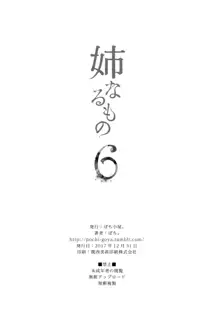 姉なるもの 1-7, 中文