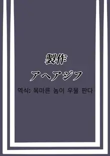 Shikiyoku o Okasu | 색욕을 범하다, 한국어