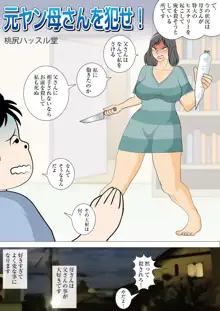 元ヤン母さんを犯せ!, 日本語