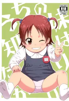 Uchi no Imouto wa Shiritagari, 中文