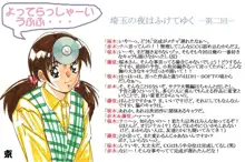 Operation 11 爆乳VALUE ユリちゃんとおおきな仲間たち, 日本語