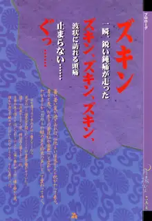 月陽炎 恋画集, 日本語