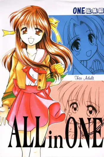 ALLinONE