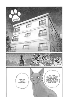 Cat in Hot Girl's dorm volume 1, English