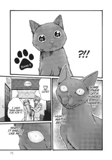 Cat in Hot Girl's dorm volume 1, English