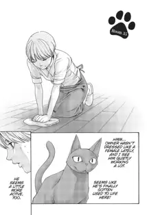 Cat in Hot Girl's dorm volume 2, English