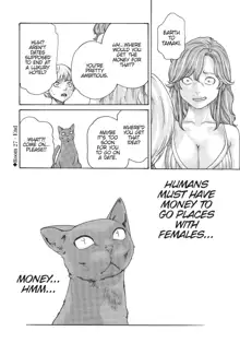 Cat in Hot Girl's dorm volume 2, English