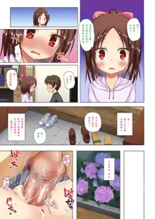 Owari no Nikkichou Full Color (decensored), 中文