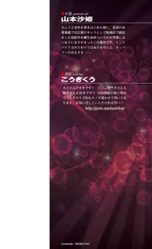 爆乳バニー宇佐美マリア 美艶探偵の怪淫事件簿, 日本語