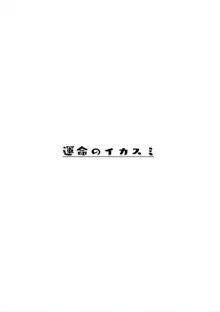 レイラ・プリズムリバーの非行, 日本語