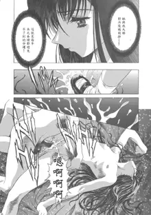 Sakura Ame Wide Ban ~Tomoyo no Nagaiyoru~ Ch. 1-4, 中文