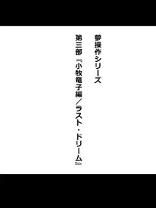 『召姦銃 DXデリへライザー』最終話 ～カードから女性を召喚してエッチするお話～, 日本語