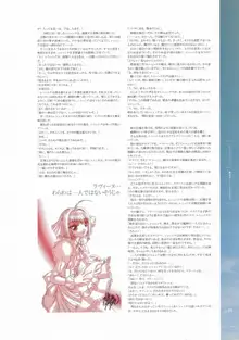 戦女神２ 失われし記憶への鎮魂歌 ビジュアルファンブック, 日本語