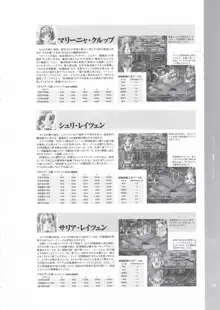 戦女神２ 失われし記憶への鎮魂歌 ビジュアルファンブック, 日本語