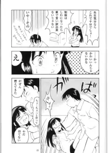 LIE III His Position / Her Situation, 日本語