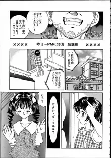 平成にんふらばぁ, 日本語