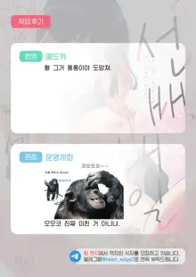 Senpai, Ashita Hima Desuka? | 선배, 내일 한가하세요?, 한국어